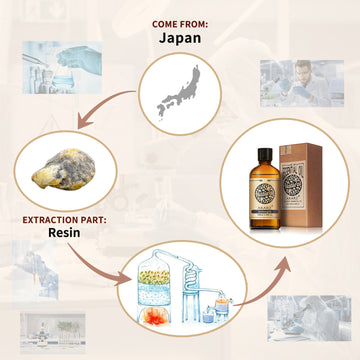 Ambergris Essential Oil AKARZ Natural And Pure ( 30ML  100ML )